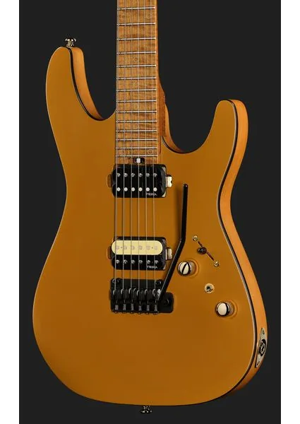 Harley Benton Fusion-IV HH MN SGD, detalj 4