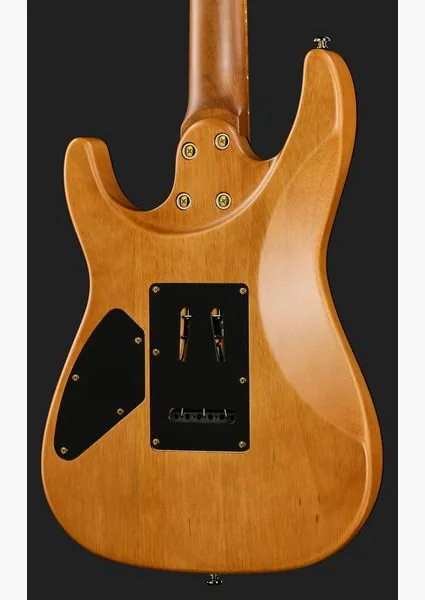 Harley Benton Fusion-IV HH MN SGD, detalj 5