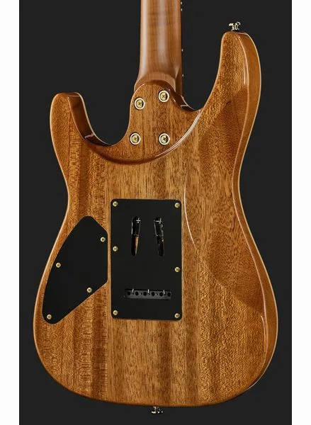 Harley Benton Fusion-IV HH RW FBB, detalj 5