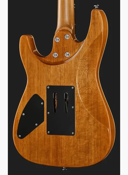 Harley Benton Fusion-IV HH RW FR QBLB, detalj 5