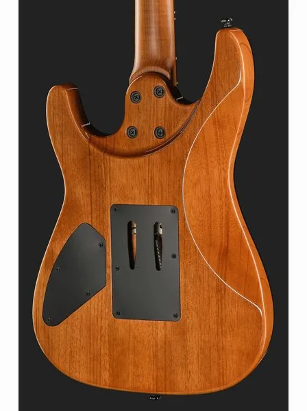Harley Benton Fusion-IV HH RW FR WM, detalj 5