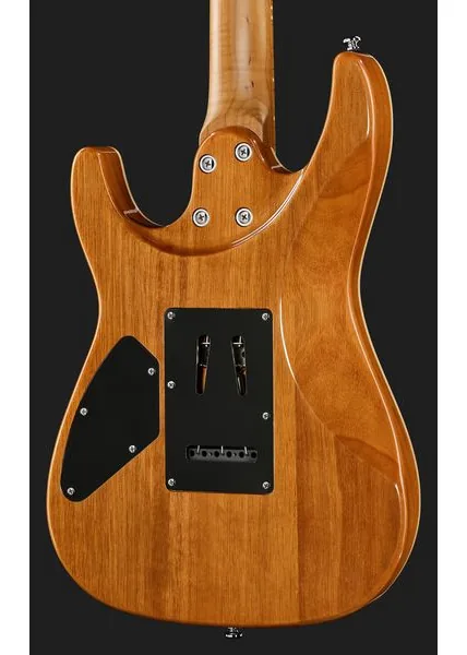 Harley Benton Fusion-IV HSS MN JM, detalj 5