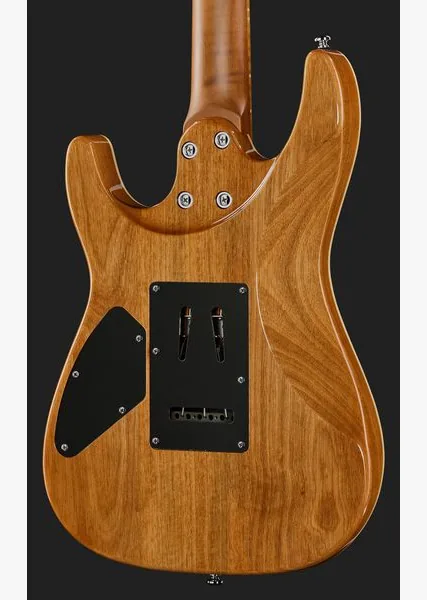 Harley Benton Fusion-IV HSS MN QRG, detalj 5
