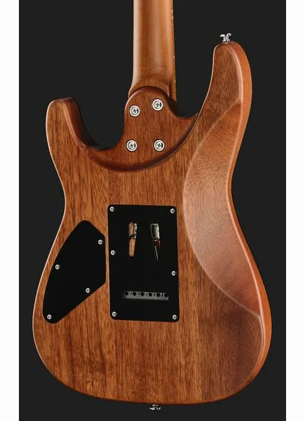 Harley Benton Fusion-IV HSS MN SGR, detalj 5