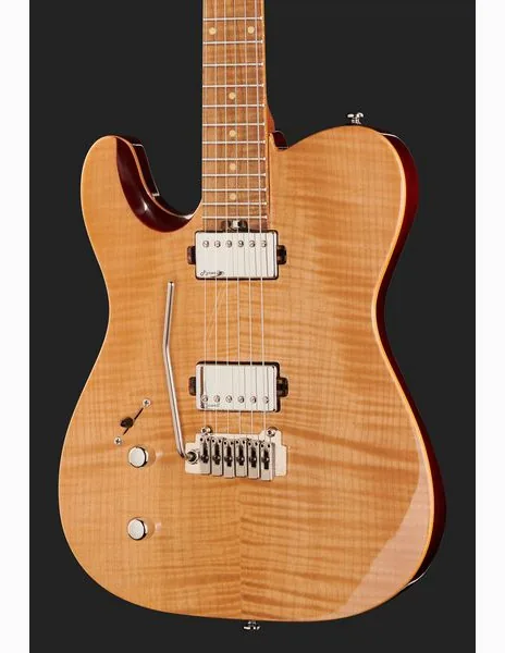 Harley Benton Fusion-T HH LH Roasted FNT, detalj 4