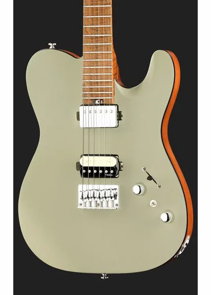 Harley Benton Fusion-T II HH MN HT SGR, detalj 4