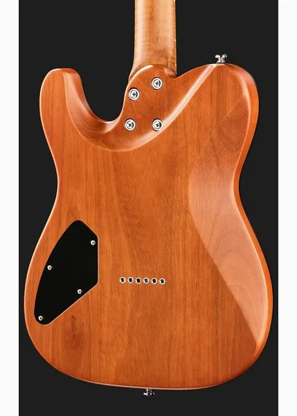 Harley Benton Fusion-T II HH MN HT SGR, detalj 5