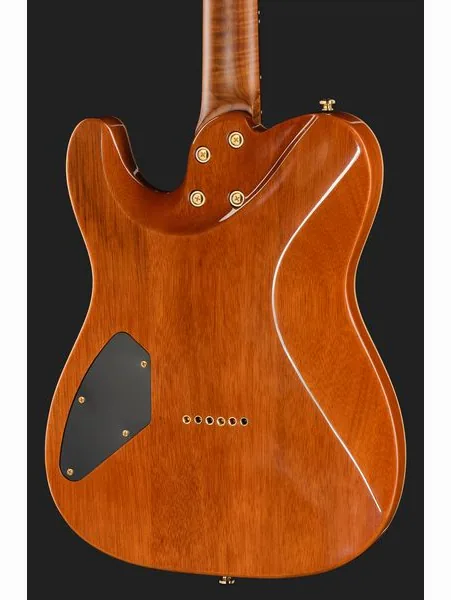 Harley Benton Fusion-T II HH RW HT FBB, detalj 5