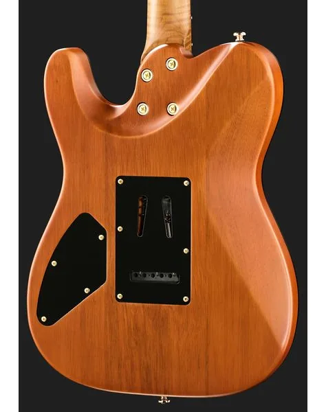 Harley Benton Fusion-T II HH RW SGD, detalj 5