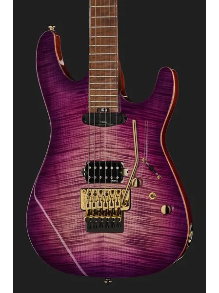 Harley Benton Guitar MAX Fusion Signature PF, detalj 4