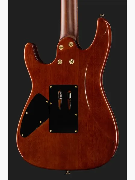Harley Benton Guitar MAX Fusion Signature PF, detalj 5
