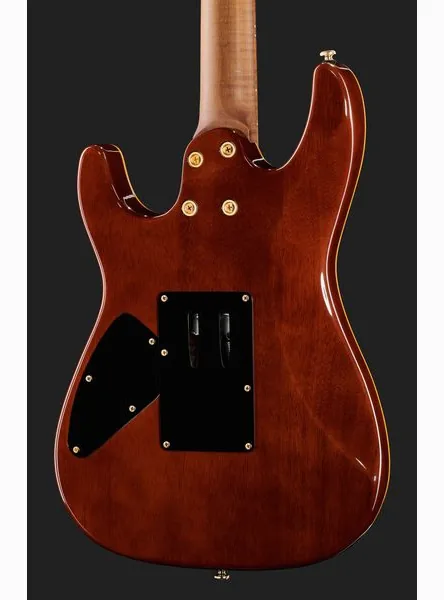 Harley Benton Guitar MAX Fusion Signature EF, detalj 5