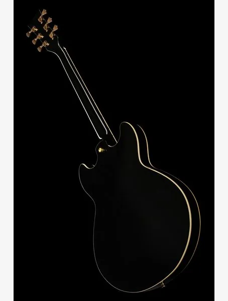 Harley Benton HB-35Plus Black w/Bag, detalj 5
