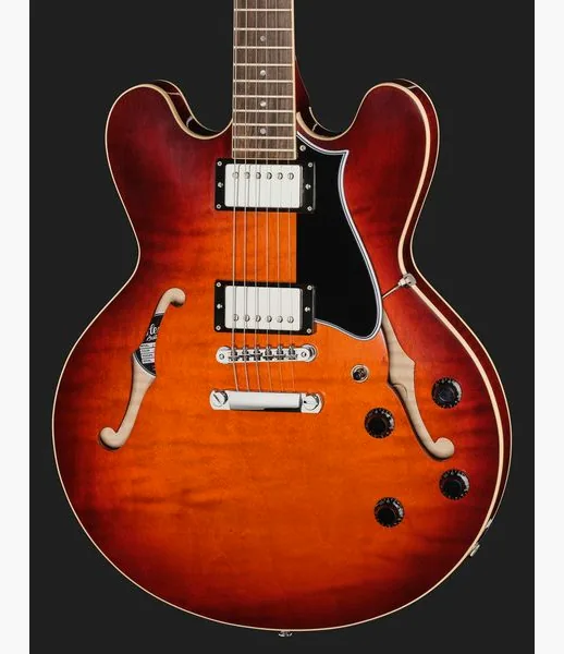 Heritage Guitar Standard II H-535 CNB, detalj 4