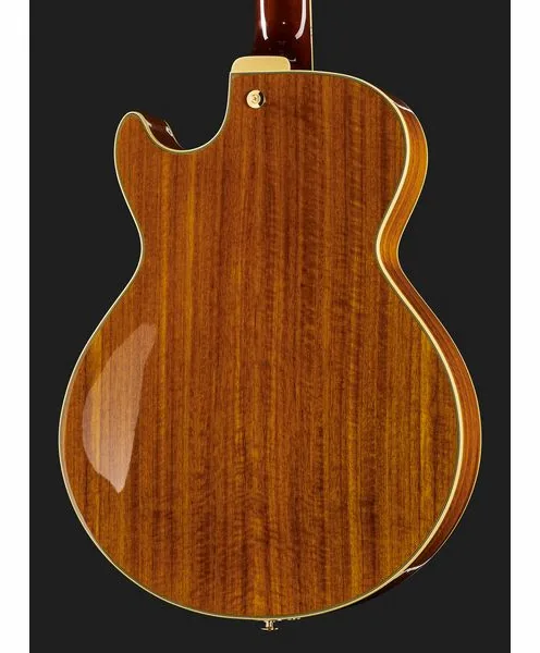 Ibanez AG95K-NT, detalj 5