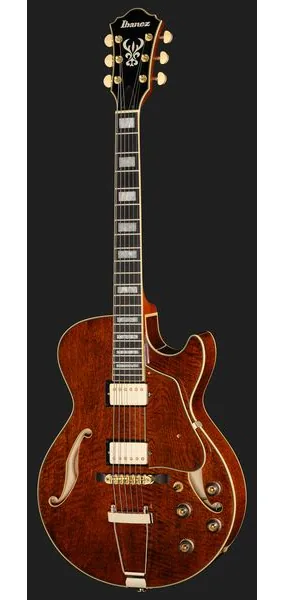 Ibanez AG95MG-DA, detalj 2