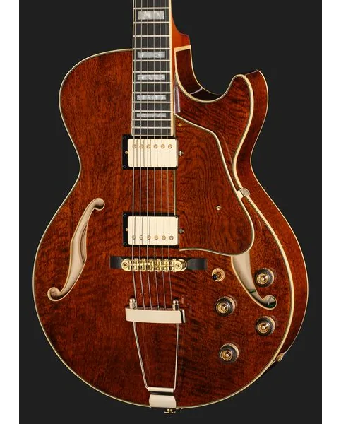 Ibanez AG95MG-DA, detalj 4