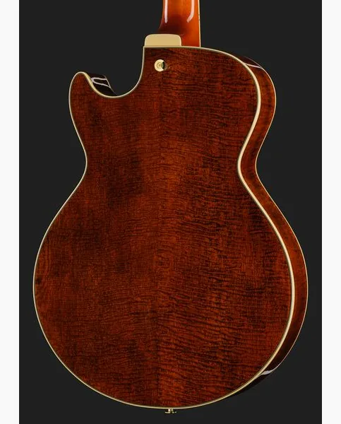 Ibanez AG95MG-DA, detalj 5