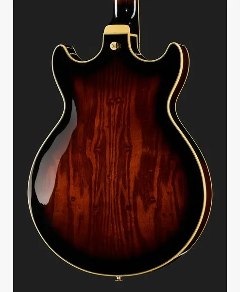 Ibanez AM153QA-DBS, detalj 5
