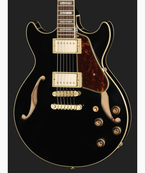 Ibanez AM73G-BK, detalj 4