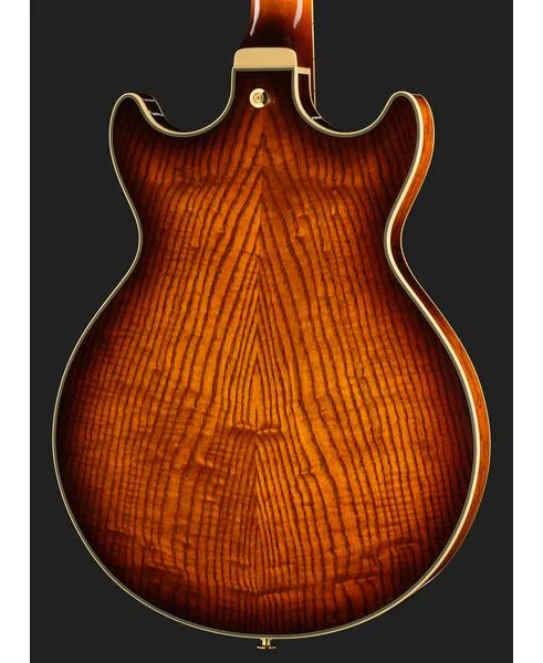 Ibanez AM93QA-VVH, detalj 5