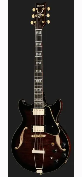 Ibanez AMH100FM-DVS, detalj 2