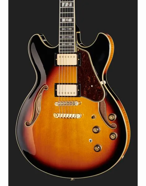 Ibanez AS113-BS, detalj 4