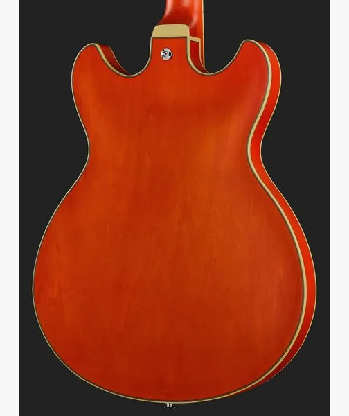 Ibanez AS73-TTF, detalj 5