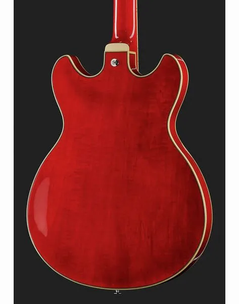 Ibanez AS7312-TCD, detalj 5