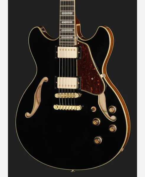 Ibanez AS93BC BK, detalj 4