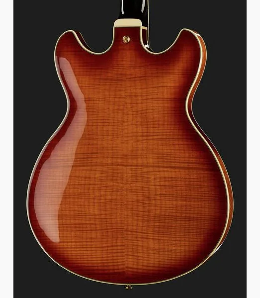 Ibanez AS93FM-VLS, detalj 5