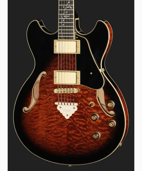 Ibanez AS93QMSP-DBS, detalj 4