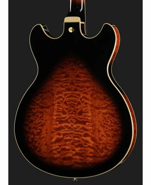 Ibanez AS93QMSP-DBS, detalj 5