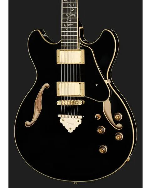 Ibanez AS93SP-BK, detalj 4