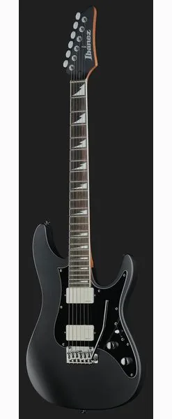 Ibanez BER10 Bernth Signature BK, detalj 2