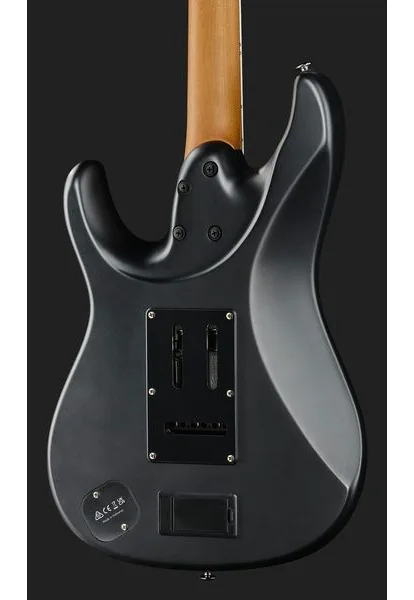 Ibanez BER10 Bernth Signature BK, detalj 5