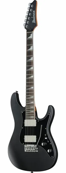 Ibanez BER10 Bernth Signature BK framifrån