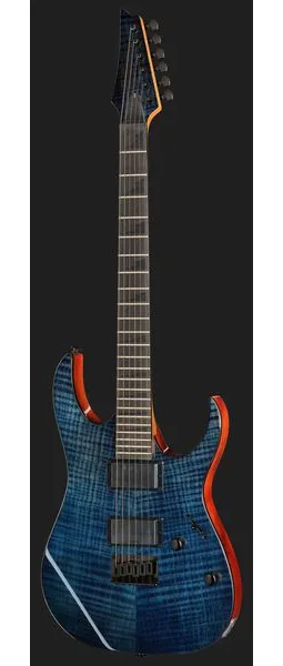 Ibanez GRGR221FA-TDK, detalj 2