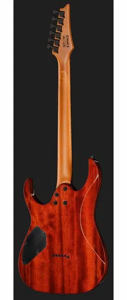 Ibanez GRGR221FA-TDK, detalj 3