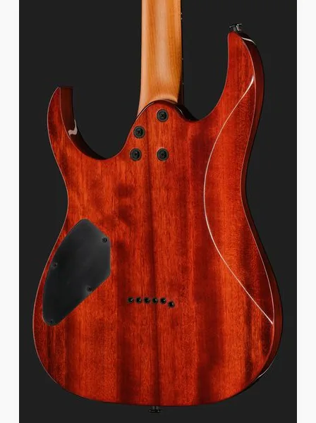 Ibanez GRGR221FA-TDK, detalj 5