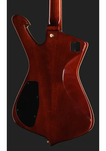 Ibanez IC420FM-TBG, detalj 5