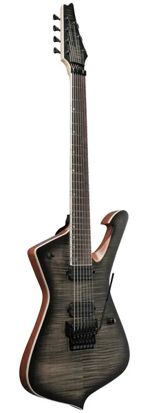 Ibanez ICWH727 Wes Hauch, detalj 3