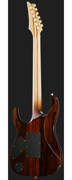 Ibanez IV1RG Visions RG, detalj 3