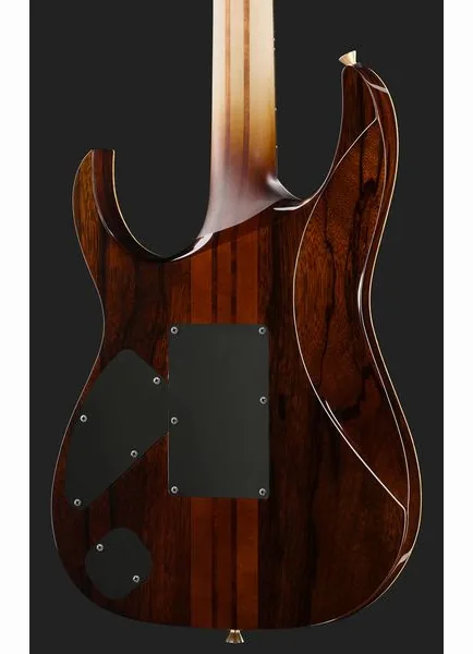 Ibanez IV1RG Visions RG, detalj 5