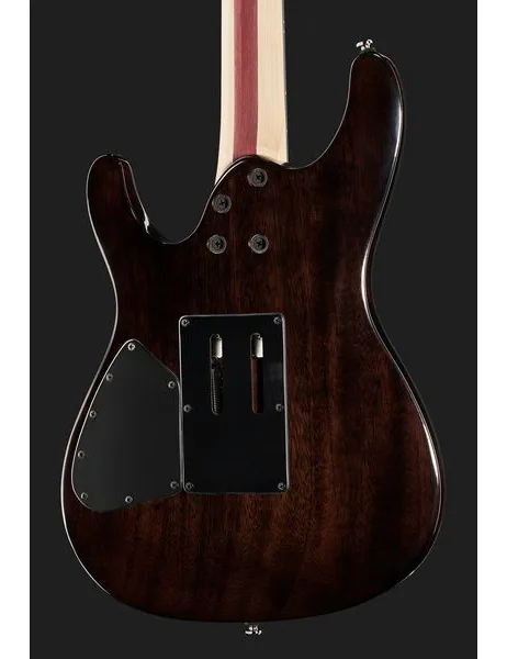 Ibanez JIVA 10-DSB, detalj 5