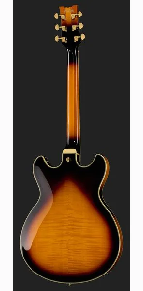 Ibanez JSM10-VYS John Scofield, detalj 3