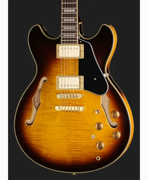Ibanez JSM10EM-TTB John Scofield, detalj 4