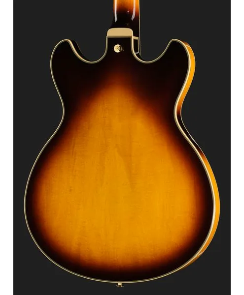 Ibanez JSM10EM-TTB John Scofield, detalj 5