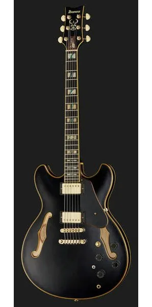 Ibanez JSM20-BKL, detalj 2