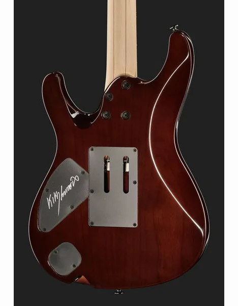 Ibanez KIKO100-TRR, detalj 5